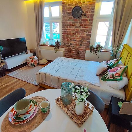 Apartamenty Piekary 11 Przy Wisle By Rentoom Торунь Екстер'єр фото